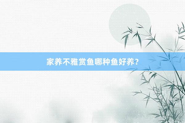 家养不雅赏鱼哪种鱼好养？