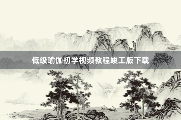 低级瑜伽初学视频教程竣工版下载