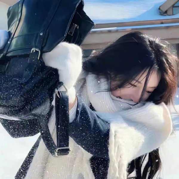 庐山假面目